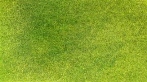 Aerial Green Grass Texture Background Top View Stock Photo Download
