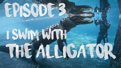 I Swim With The Alligator Youtube