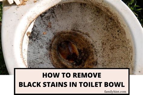 Black Toilet Bowl Stains