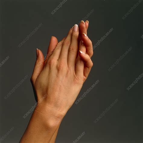 Side view of a woman's hands held together - Stock Image ...