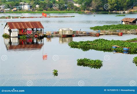 Beautiful Vietnamese Fishing Village On Dong Nai River Floating House