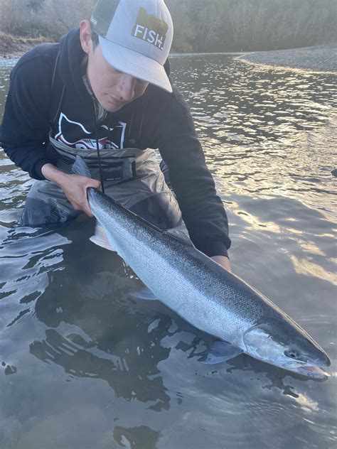 Steelhead Arrive In Chetco Wild Rivers Fishing