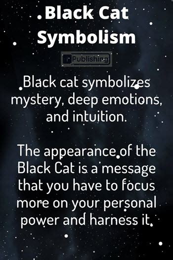 What Does It Mean When You See A Black Cat Spiritual Symbolism
