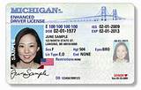 Michigan Drivers License Types