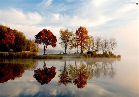 Autumn Trees Viewes Lake For Desktop Wallpapers 1600x1119