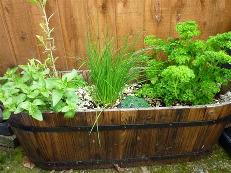 21 Cheap And Easy Herb Garden Ideas Daily Online News