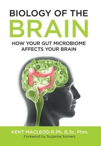 Biology Of The Brain How Your Gut Microbiome Affects Your Brain By