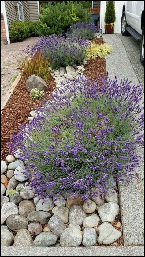 20 Small Lavender Garden Ideas Magzhouse