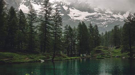 Lago Montanhas Árvores Chuva Natureza