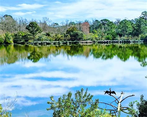 Ladys Island Newest Treasure Crystal Lake Park South Carolina