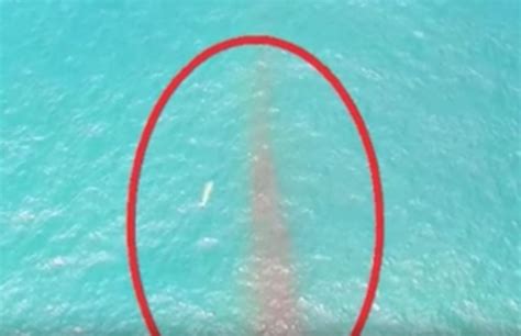 UFO Footage Captured by Drone Shows Mysterious Object Hurtling Toward ...