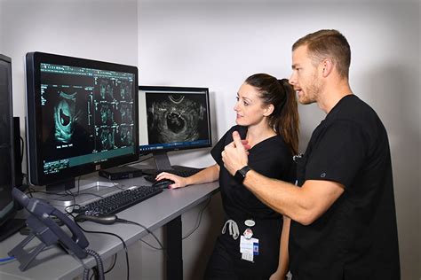 Diagnostic Radiology Residency Department Of Radiology College Of