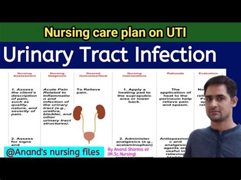 Nursing Care Plan On Urinary Tract Infection Nursing Care Plan On Uti Anandsnursingfiles Youtube
