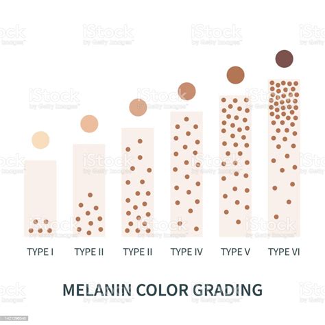 Melanin Skin Tone Color Palette Scheme Design Vektorgrafik Och Fler
