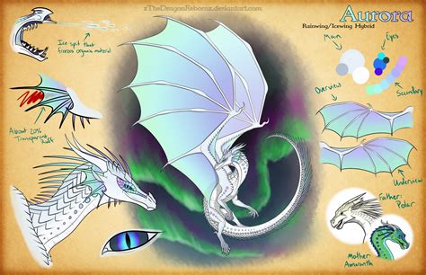 This dragon is a muscular sandwing and nightwing hybrid with iridescent scales. Aurora Reference Sheet by xTheDragonRebornx on DeviantArt