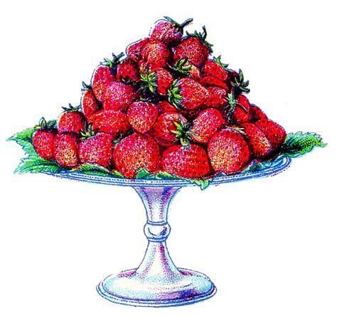 Free Fruit Tray Cliparts Download Free Fruit Tray Cliparts Png Images