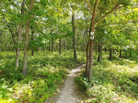 A Mike Who Likes to Hike