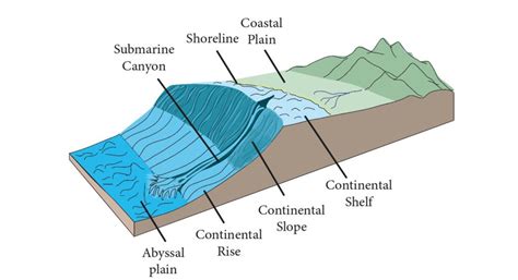 Relief Features Of Ocean