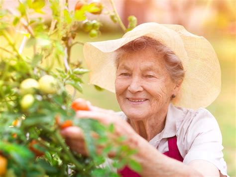 Senior Gardening Activities How To Design Elderly Accessible Gardens