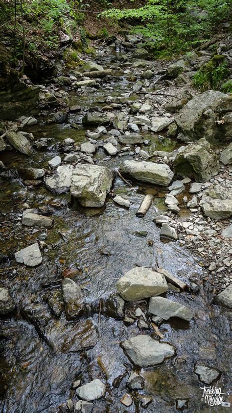La balade du ninglinspo, au confins du massif ardennais, remonte le ruisseau le plus rapide de belgique, à travers une végétation chatoyante et des bains creusés dans la pierre. La vallée du Ninglinspo • Trekking et Voyage