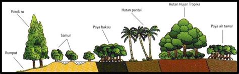 Bentuk muka bumi di malaysia. GEOGRAPHY: Faktor-faktor Yang Mempengaruhi Tumbuh-tumbuhan ...