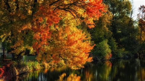 Fall Red Yellow Autumn Trees River Reflection Hd Nature Wallpapers Hd