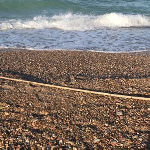 Platja Naturista Del Saler Diseminado Gola Del Puchol Valencia