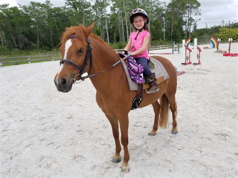 Horseback Riding Lessons Lake Worth | Horseback Riding Lessons Near Me FL | Horse Riding Lessons ...
