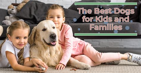 11 Best Dog Breeds For Kids And Families Teepee Joy Blog