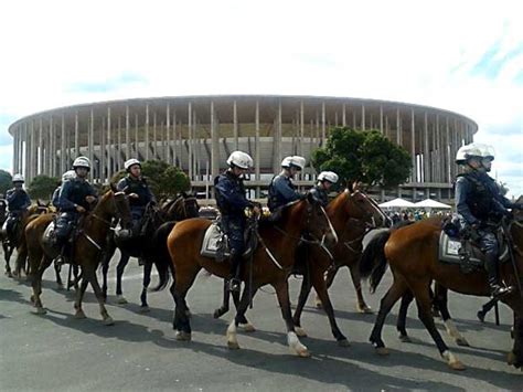 G1 Pm Do Df Compra 100 Cavalos Por R 3 Milhões Para Segurança Na