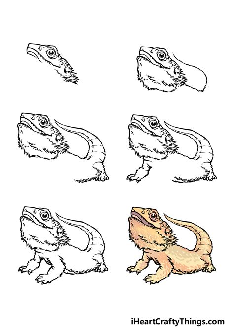 How To Draw A Bearded Dragon A Step By Step Guide Seso Open