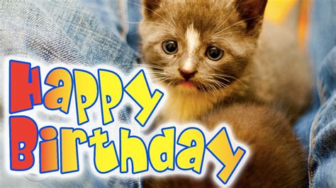 Happy Birthday Kitten A Super Cute Kitty Birthday Ecard Youtube