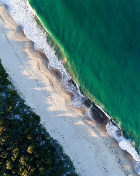 Birdie Budgewoi And Lakes Beach Archives Central Coast Drones