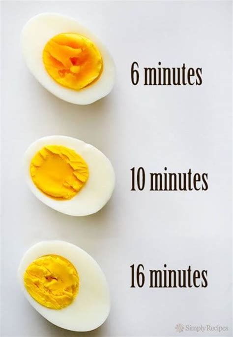 If you prefer to add eggs to already boiling water, allow the water to continue at a low boil once you add the eggs. The Complete Guide On Cooking Eggs Everyone Needs In The ...