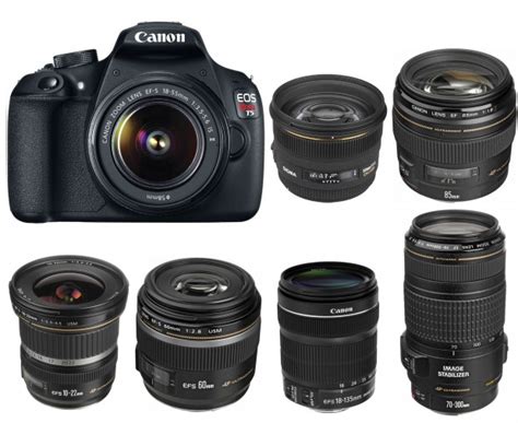 Best Lenses For Canon Eos Rebel T7 T6 T5 In 2022 Camera Times