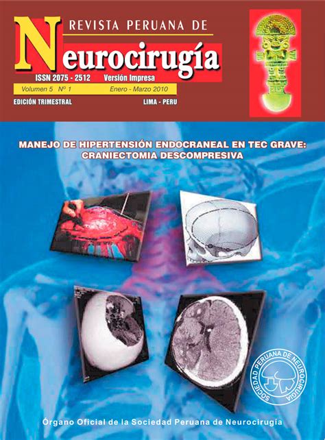 Previous Issues 2 Peruvian Journal Of Neurosurgery