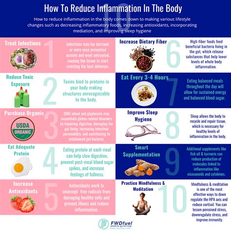 How To Reduce Inflammation In The Body Infographic Fwdfuel Sports