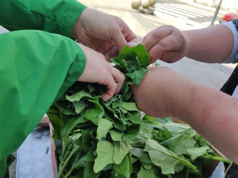 Agricultura Social Sostenible Fundación Baiuca Verdescente