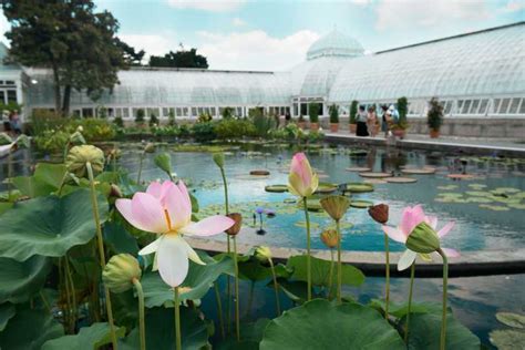 Nyc New York Botanical All Garden Pass And Orchid Show Ticket Getyourguide