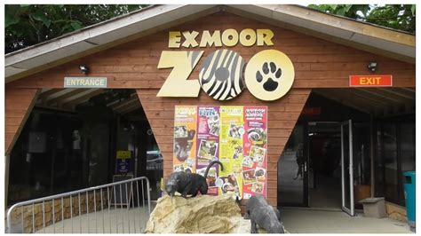Exmoor Zoo A Quick Tour From Our Recent Visit Youtube