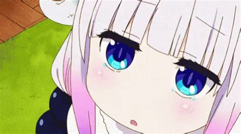 Amazed Anime GIF Amazed Anime Loli Discover Share GIFs