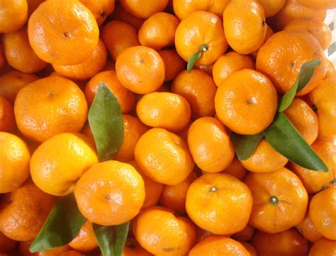 Mandarin Orange Oil Essential Oils Ask
