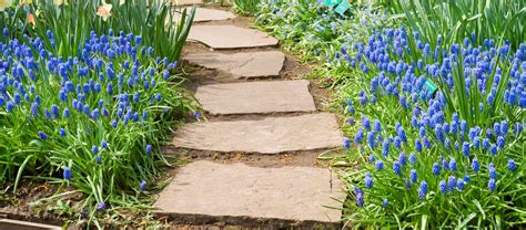 Trim your grass carefully using a sharp knife to give it a smooth and neat finish. Garden Path Ideas | Mulch | Gravel | Wooden | Crazy Paving