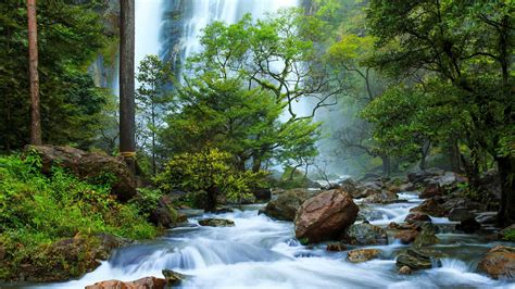 Wallpaper Trees Landscape Forest Waterfall Nature River