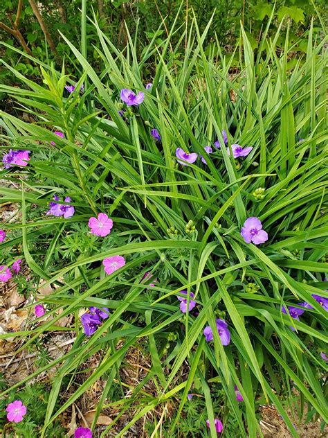 Garage Sale for sale in Traverse City, Michigan | Facebook Marketplace
