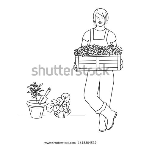 Line Drawing Gardener Woman Box Flowers Stock Vector Royalty Free