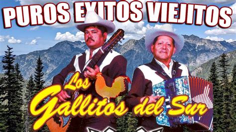 Los Gallitos Del Sur Puros Exitos Viejitos Album Completo Youtube