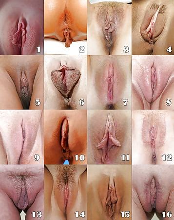 Select Your Favorite Pussy Shape 7 Pics XHamster