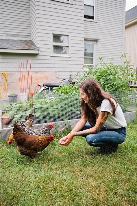 View Woman Feeding Chickens By Stocksy Contributor Joe Stpierre