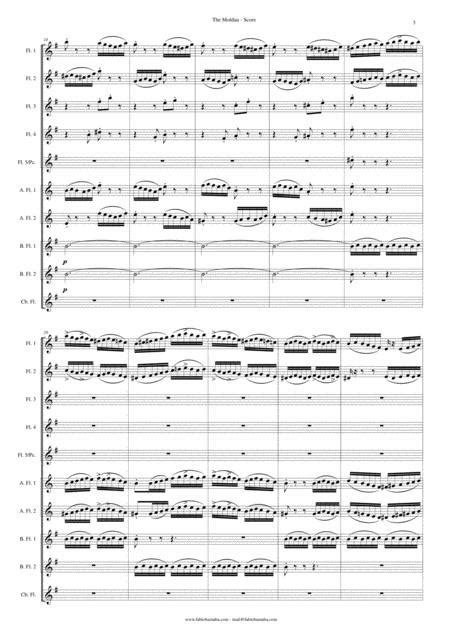 Preview The Moldau By Bedrich Smetana Symphonic Poem For Flute Choir